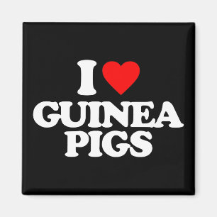 I LIEBE-MEERSCHWEINCHEN MAGNET