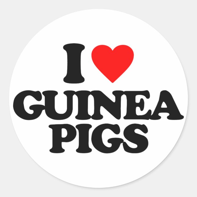 I LIEBE-MEERSCHWEINCHEN RUNDER AUFKLEBER (Vorderseite)