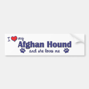 I Liebe mein Afghane (weiblicher Hund) Autoaufkleber