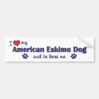 I Liebe mein amerikanischer Eskimohund (männlicher