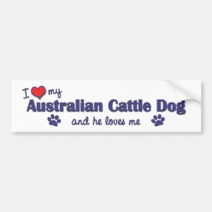 I Liebe mein australischer Vieh-Hund (männlicher Autoaufkleber
