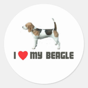 I Liebe mein Beagle Runder Aufkleber