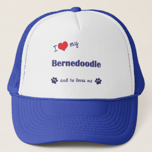 I Liebe mein Bernedoodle (männlicher Hund) Truckerkappe