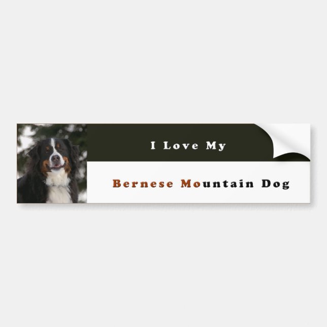 I Liebe mein Bernese Gebirgshund Autoaufkleber (Vorne)