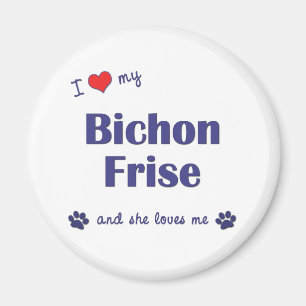 I Liebe mein Bichon Frise (weiblicher Hund) Magnet