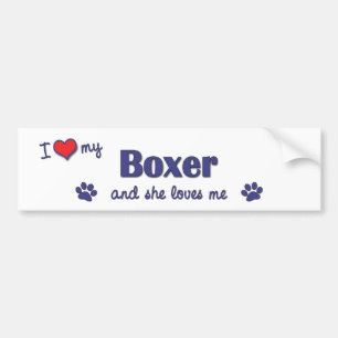 I Liebe mein Boxer (weiblicher Hund) Autoaufkleber