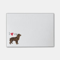 I Liebe mein Boykin Spaniel