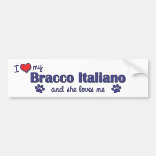 I Liebe mein Bracco Italiano (weiblicher Hund) Autoaufkleber