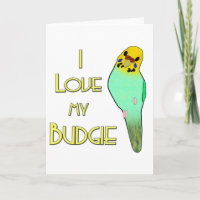 I Liebe mein Budgie