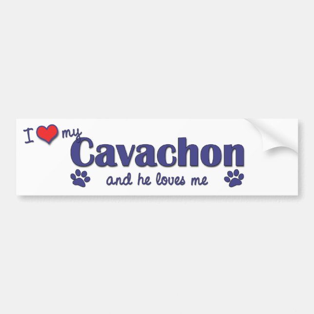 I Liebe mein Cavachon (männlicher Hund) Autoaufkleber (Vorne)
