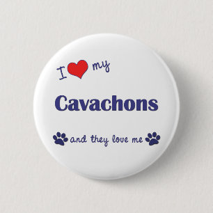 I Liebe mein Cavachons (mehrfache Hunde) Button