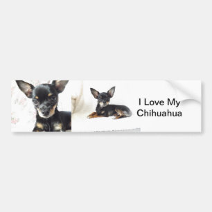 I Liebe mein Chihuahua-Autoaufkleber Autoaufkleber