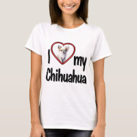 I Liebe Mein Chihuahua Niedliches Rotes Herz Foto