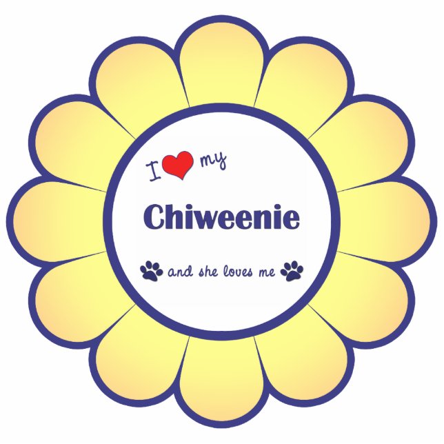 I Liebe mein Chiweenie (weiblicher Hund) Fotoskulptur Ornament (Vorne)