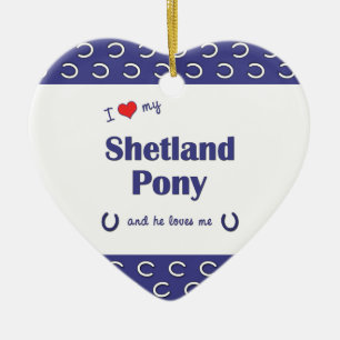 I Liebe mein die Shetlandinseln-Pony (männliches Keramikornament