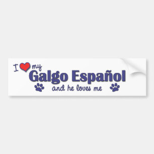 I Liebe mein Galgo Espanol (männlicher Hund) Autoaufkleber
