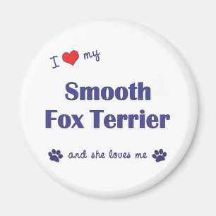 I Liebe mein glatter Fox-Terrier (weiblicher Hund) Magnet