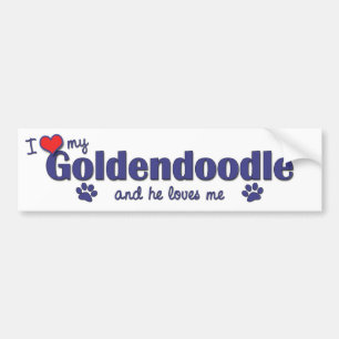I Liebe mein Goldendoodle (männlicher Hund) Autoaufkleber