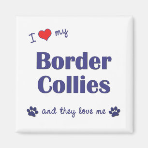 I Liebe mein GrenzCollies (mehrfache Hunde) Magnet