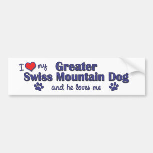 I Liebe mein größerer Schweizer Gebirgshund Autoaufkleber
