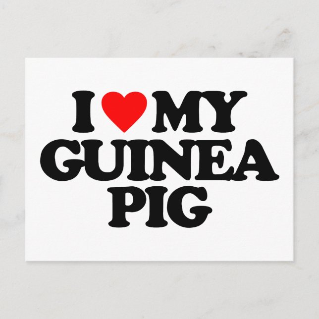 I LIEBE MEIN GUINEA SCHWEIN POSTKARTE (Vorderseite)