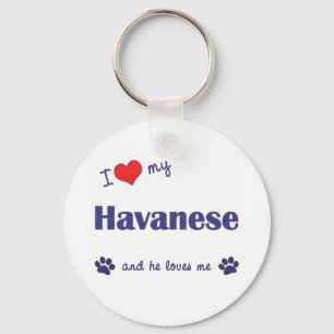 I Liebe mein Havanese (männlicher Hund) Schlüsselanhänger