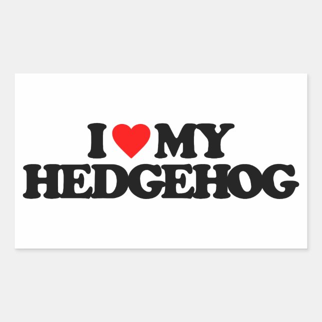 I LIEBE MEIN IGEL RECHTECKIGER AUFKLEBER (Vorderseite)