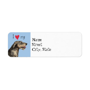 I Liebe mein irischer Wolfhound