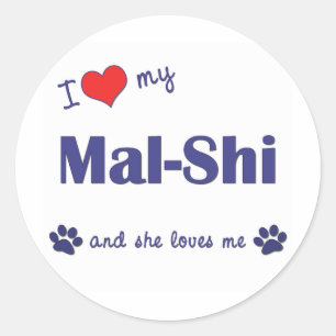 I Liebe mein Mal-Shi (weiblicher Hund) Runder Aufkleber