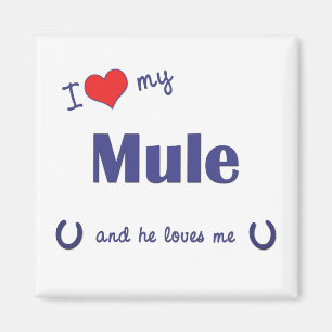 I Liebe mein Maultier (männliches Maultier) Magnet