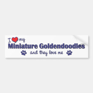 I Liebe mein MiniaturGoldendoodles (mehrfache Autoaufkleber