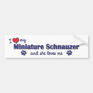 I Liebe mein MiniaturSchnauzer (weiblicher Hund) Autoaufkleber