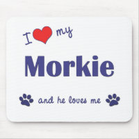 I Liebe mein Morkie (männlicher Hund)