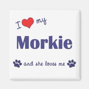 I Liebe mein Morkie (weiblicher Hund) Magnet