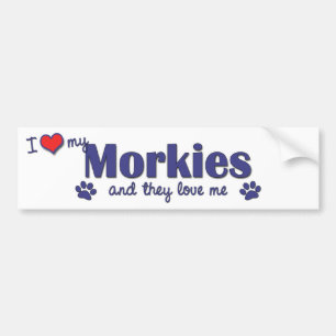 I Liebe mein Morkies (mehrfache Hunde) Autoaufkleber