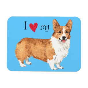 I Liebe mein Pembroke-WaliserCorgi Magnet