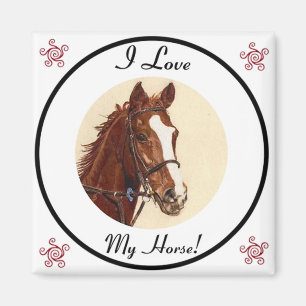 I Liebe mein Pferd! Reitermagnet Magnet