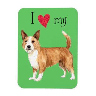 I Liebe mein portugiesisches Podengo Pequeno Magnet