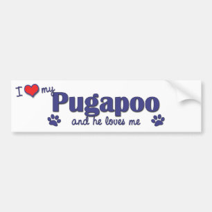 I Liebe mein Pugapoo (männlicher Hund) Autoaufkleber
