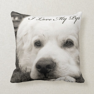 I Liebe mein Pyr Kissen
