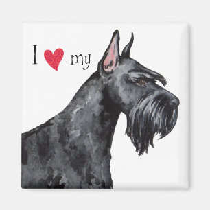 I Liebe mein riesiger Schnauzer Magnet
