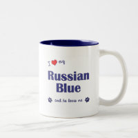 I Liebe mein russisches Blau (männliche Katze)
