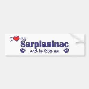I Liebe mein Sarplaninac (männlicher Hund) Autoaufkleber