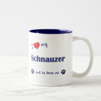 I Liebe mein Schnauzer (männlicher Hund)