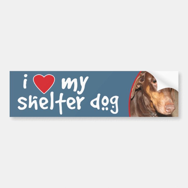 I Liebe mein Schutz-Hundedobermann Autoaufkleber (Vorne)