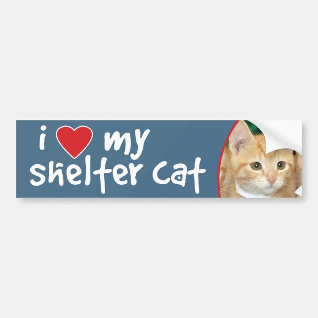 I Liebe mein Schutz-Katzen-Orangen-Kätzchen Autoaufkleber (Vorne)