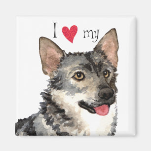 I Liebe mein schwedisches Vallhund Magnet