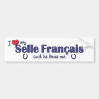 I Liebe mein Selle Francais (männliches Pferd)