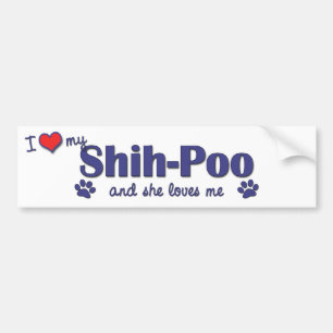 I Liebe mein Shih-Poo (weiblicher Hund) Autoaufkleber