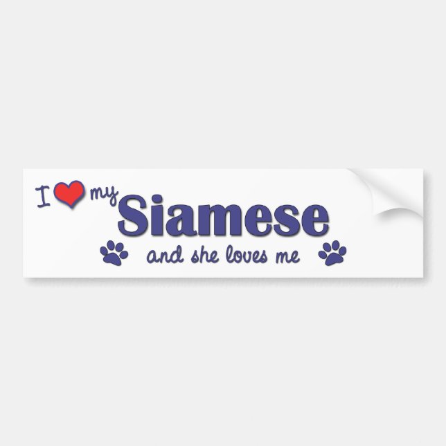 I Liebe mein siamesisches (weibliche Katze) Autoaufkleber (Vorne)